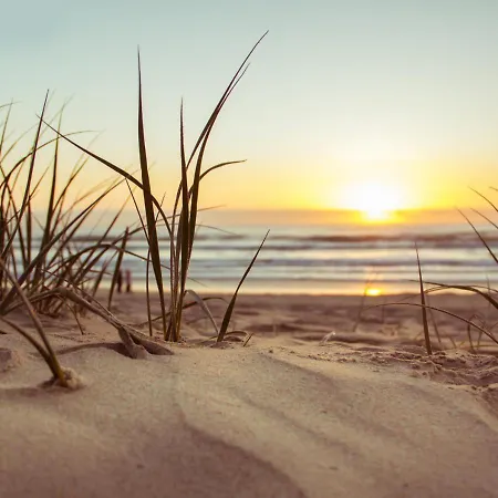 Promenada Gwiazd 14 - Visitopl *