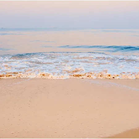 Promenada Gwiazd 14 - Visitopl * Miedzyzdroje