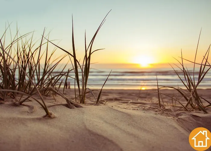 Promenada Gwiazd 14 - Visitopl *